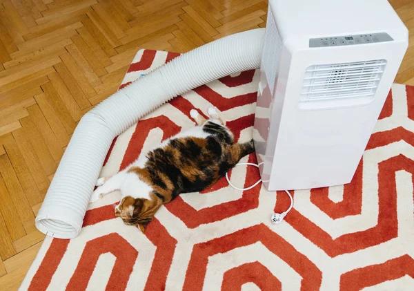 Quality Air Conditioning Repair Service Enhancing Comfort and Reliability