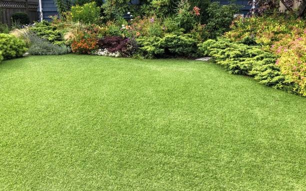 Artificial Grass Chandler Residents Love Apex Turf Advantage